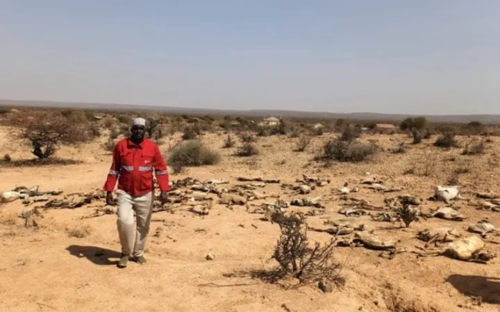 Wabunge wanaombwa kuidhinisha KSh 19.9 bilioni kwa misaada ya ukame wakati mgogoro wa chakula unaoongezeka