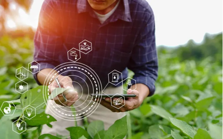 The government has launched the PRASUB program to support agriculture in Gemena