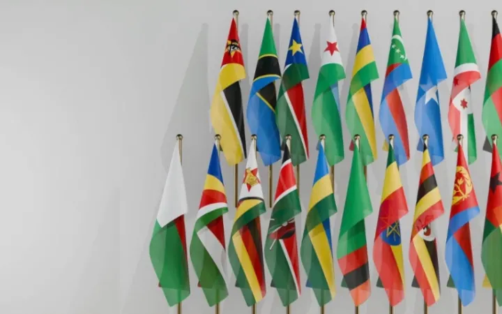 Unions and alliances of East African countries