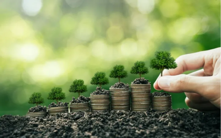 How will the natural capital accounting system help Uganda conserve natural capital