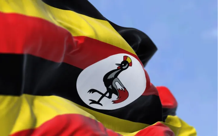Uganda's UPDF deployment to the Gaza Strip as part of a stabilization mission
