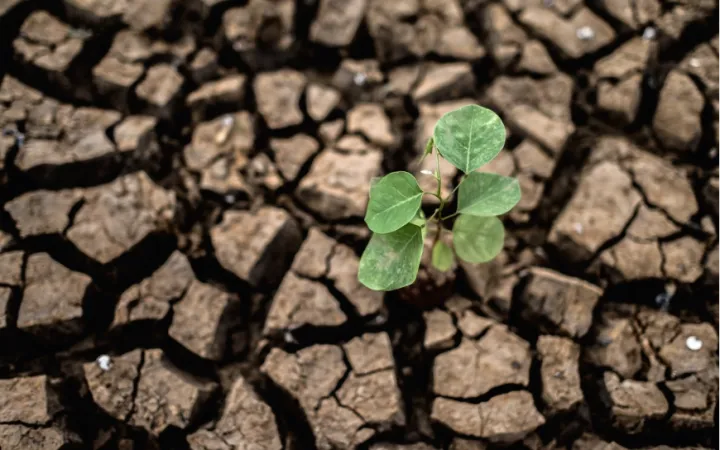 Climate resilience and institutional barriers in Uganda: a threat to food security due to insecure land rights